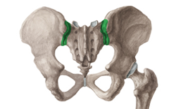 Immagine dolore lombare