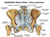 Immagine dolore lombare