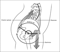Immagine mal di schiena in gravidanza